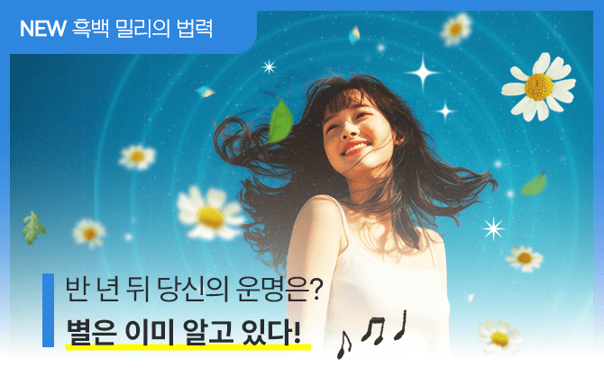 20250606 신규메뉴