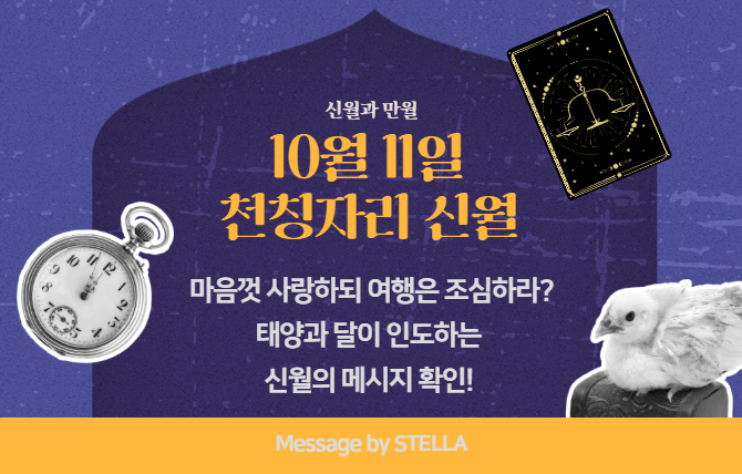 2026년 11월 신월