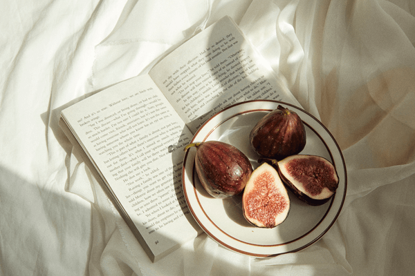 2025년 12월 스텔라 타로 메시지