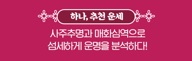 하나 추천 운세 사주추명과 매화심역으로 섬세하게 운명을 분석하다