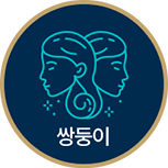 쌍둥이자리