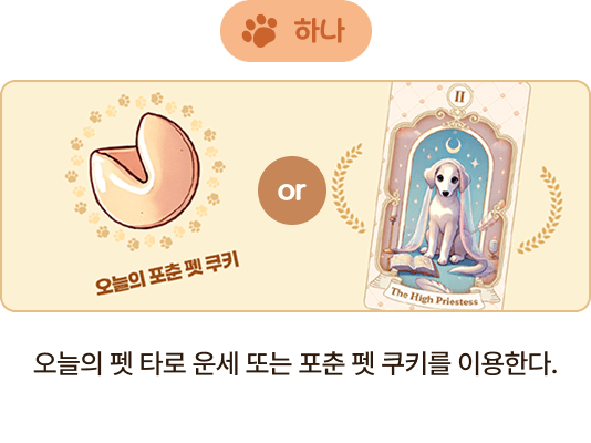 하나 오늘의 펫 타로 운세 또는 포춘 펫 쿠키를 이용한다.