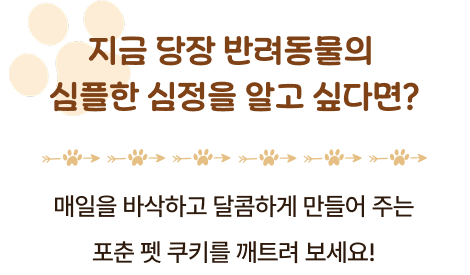지금 당장 반려동물의 심플한 심정을 알고 싶다면? 매일을 바삭하고 달콤하게 만들어 주는 포춘 펫 쿠키를 깨트려 보세요!