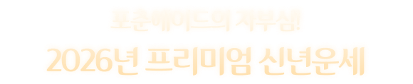 포춘에이드의 자부심! 2026년 프리미엄 신년운세