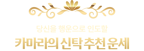 당신을 행운을 인도할 카마라의 신탁 추천 운세