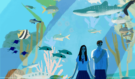 다시, 짝사랑. 그 사랑의 시작과 끝