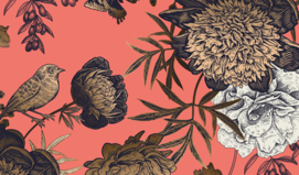 그 사람은 낮져밤이? 밤져낮이? 섹슈얼 운명 가이드