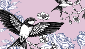 20문 20답! 영감이 전하는 짝사랑 상대의 속마음