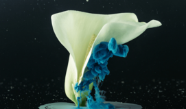 언제까지 괴로워 해야 할까? 짝사랑이 움직이는 순간