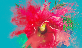 즉문즉답! 2026년 당신과 대연애를 할 사람은?