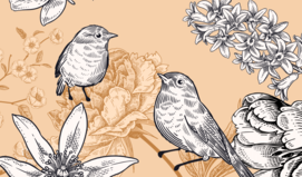 짝사랑 회피하고 싶지 않다면?! 사연 많은 사랑의 운명